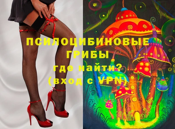 apvp Белокуриха