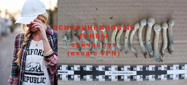 apvp Белокуриха