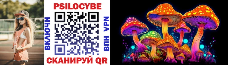 Псилоцибиновые грибы Psilocybe  Соль-Илецк 