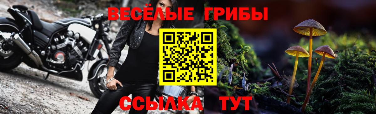 Галлюциногенные грибы Magic Shrooms Соль-Илецк