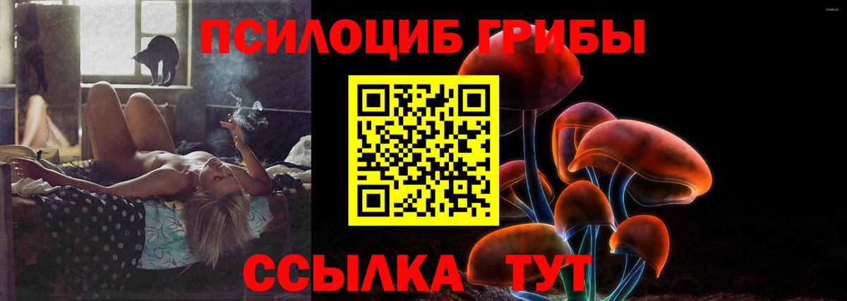 Галлюциногенные грибы мухоморы  Вход с VPN  Псилоцибиновые грибы Psilocybe  Соль-Илецк 